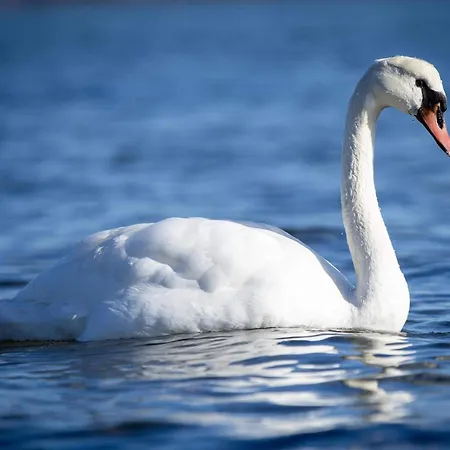 10 Person In Sjolund-by Traum بيت للعطل *