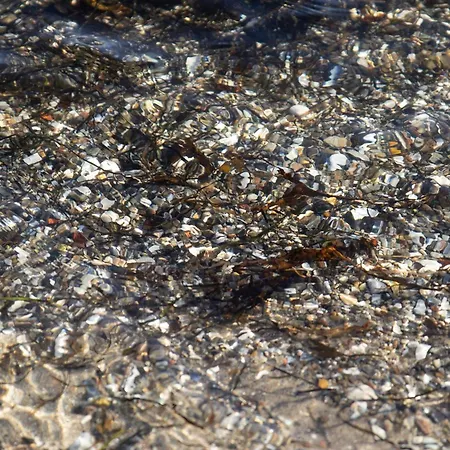 بيت للعطل 10 Person In Sjolund-by Traum